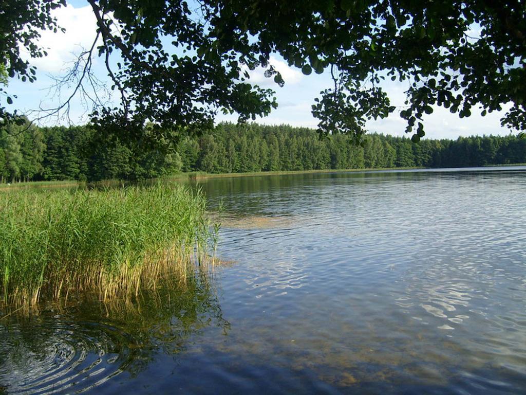 Agro-Tur Domki W Szuwarach Kuty Экстерьер фото