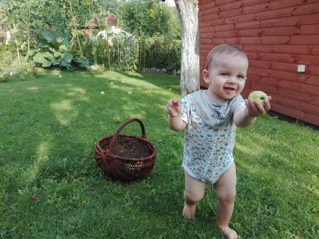 Agro-Tur Domki W Szuwarach Kuty Экстерьер фото