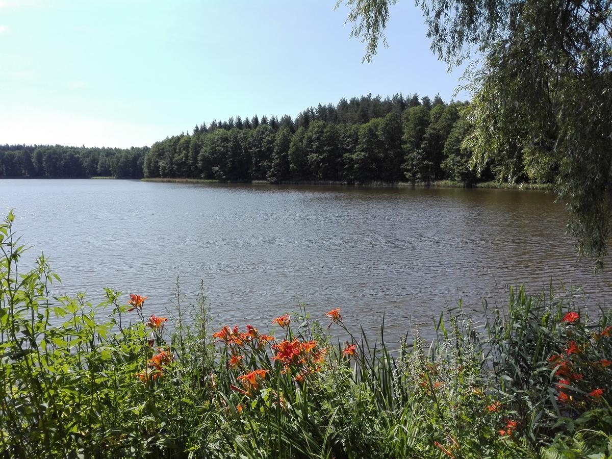 Agro-Tur Domki W Szuwarach Kuty Экстерьер фото